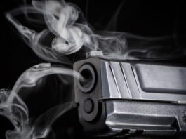 Progetto Fire, i risultati dello studio sulle armi progetto fire pistola fumante