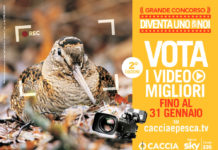 “Diventa uno di noi”, aperte le votazioni per il concorso Sky Diventa uno di noi