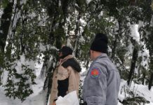 Carabinieri Forestali mettono in salvo animali protetti Carabinieri Forestali mettono in salvo animali protetti