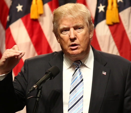 Donald Trump su ambientalismo, armi e safari Donald Trump su ambientalismo, armi e safari