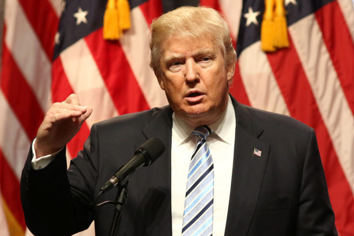 Donald Trump su ambientalismo, armi e safari Donald Trump su ambientalismo, armi e safari