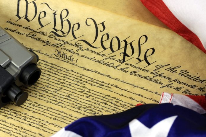 Una proposta di legge tenta di circoscrivere il secondo emendamento in Alaska Una proposta di legge tenta di circoscrivere il secondo emendamento in Alaska
