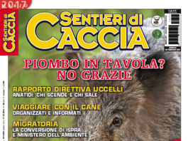 Sentieri di Caccia marzo 2017: dal 28 febbraio vi aspetta in edicola sentieri di caccia marzo 2017