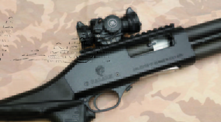 Fabarm Sdass &ldquo;Custom&rdquo; cal. 12