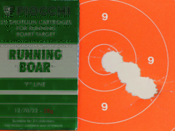 Fabarm Sdass &ldquo;Custom&rdquo; cal. 12