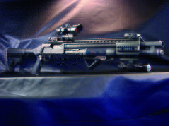 Fabarm Sdass &ldquo;Custom&rdquo; cal. 12