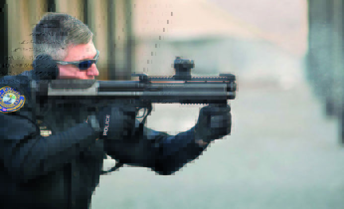 Fabarm Sdass &ldquo;Custom&rdquo; cal. 12