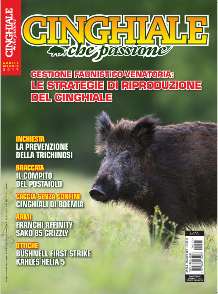 Cinghiale che Passione aprile-maggio 2017 in edicola dal 17 marzo Cinghiale che Passione aprile-maggio 2017 in edicola dal 17 marzo