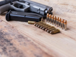 Prova la pistola nei campi, colpisce i vetri di una ditta di vernici