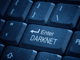 L’Ansa e due passi nel dark web, dove comprare un’arma è facile facile Dark web