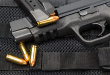 Gli sbranano il cane, torna con la pistola: finisce con 19 armi sequestrate