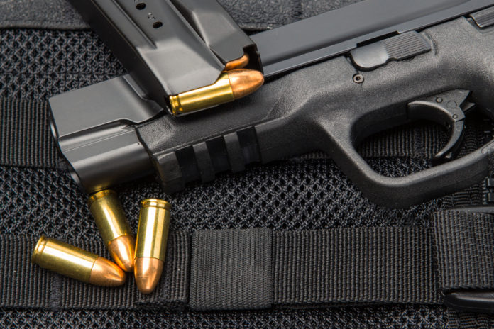Gli sbranano il cane, torna con la pistola finisce con 19 armi sequestrate