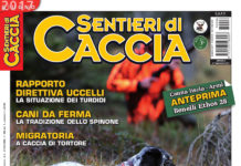 Sentieri di Caccia giugno 2017 in edicola dal 27 maggio Sentieri di Caccia giugno 2017