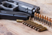 «Lanciamo i Comitati Free Guns» Stefano Maullu Comitati Free Guns