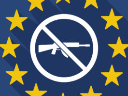 “Ci saranno conseguenze politiche ed elettorali” Difesa Italia Lara Comi