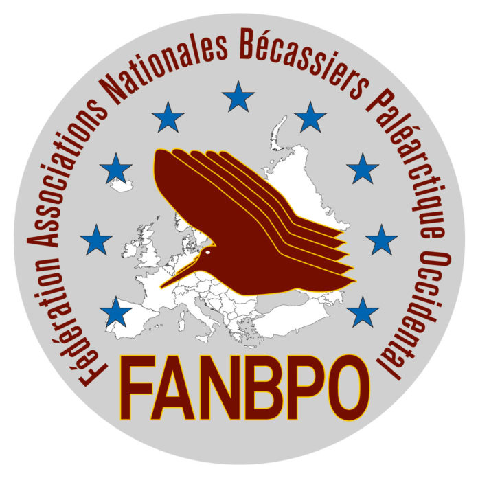 FANBPO FANBPO