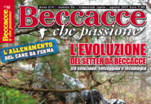 Beccacce che Passione 4 luglio-agosto 2017 vi aspetta in edicola dal 5 luglio Beccacce che Passione 4 2017