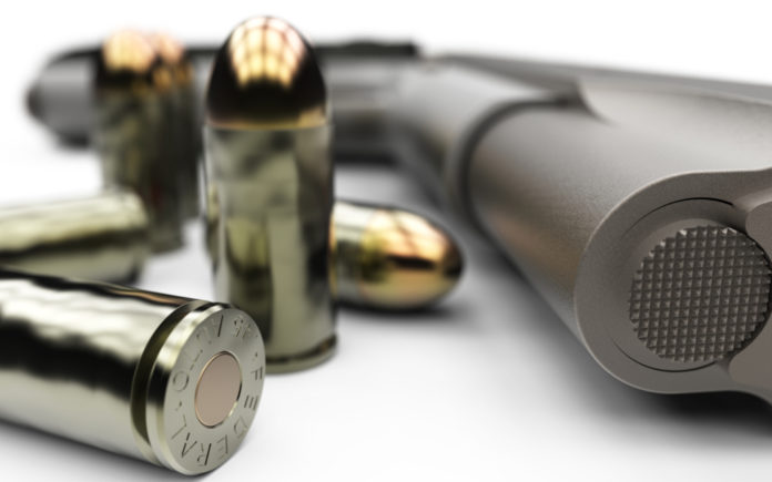 Prende la pistola del padre per mostrarla a un amico due denunce