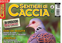 Sentieri di Caccia agosto 2017 in edicola dal 28 luglio Sentieri di Caccia agosto 2017