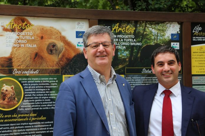 orso marsicano orso marsicano