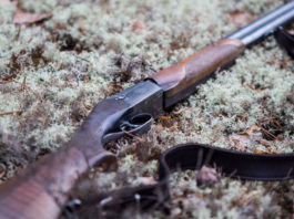 Si ruppe il cinturino del fucile e ferì un compagno di caccia: può dire addio all’arma Fucile a terra