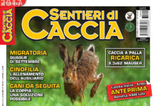 Sentieri di Caccia settembre 2017 in edicola dal 26 agosto Sentieri di Caccia settembre 2017