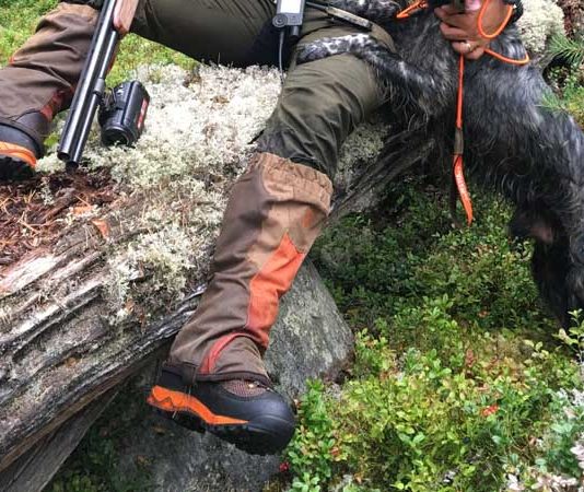 Track Gtx: la nuova proposta di Crispi per i cacciatori di beccaccia Track Gtx