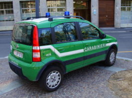 Armi non registrate e abbattimento di specie protette, sequestri e denunce a Bardolino