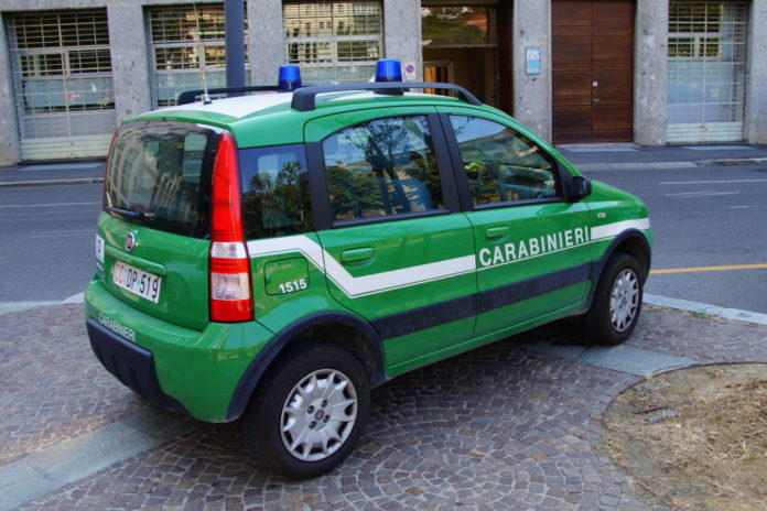 Armi non registrate e abbattimento di specie protette, sequestri e denunce a Bardolino