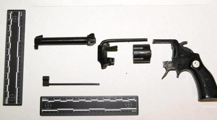 Fa a pezzi revolver e lo getta nella spazzatura Fa a pezzi revolver e lo getta nella spazzatura