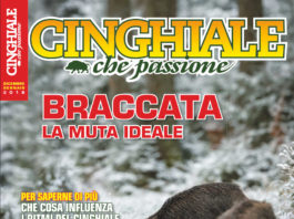 Cinghiale che Passione dicembre 2017 – gennaio 2018 in edicola dal 30 novembre Cinghiale che Passione dicembre 2017 - gennaio 2018