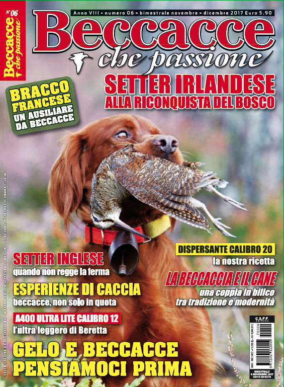 Beccacce che Passione Beccacce che Passione