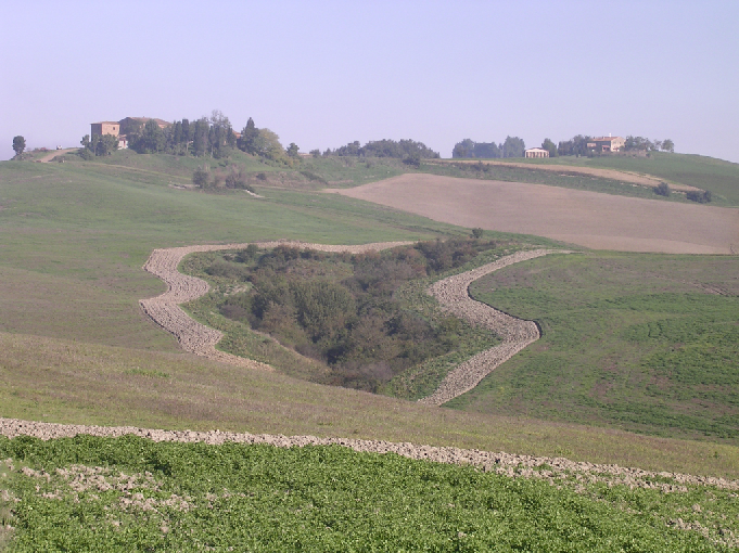 gestione gestione