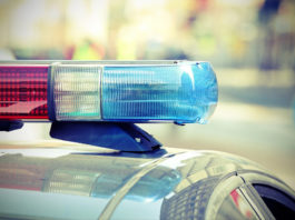 Perde fucile durante battuta di caccia, lo ritrovano carabinieri