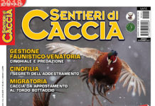 Sentieri di Caccia gennaio 2018 in edicola dal 28 dicembre Sentieri di Caccia gennaio 2018