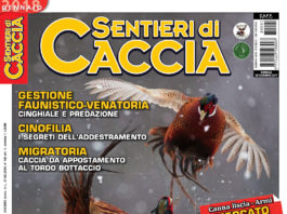 Sentieri di Caccia gennaio 2018 in edicola dal 28 dicembre Sentieri di Caccia gennaio 2018