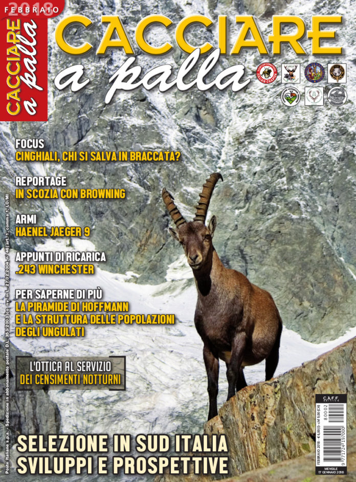 Cacciare a Palla febbraio 2018 Cacciare a Palla febbraio 2018