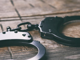 Aidaa: ci vuole il reato di omicidio per azione di caccia Manette