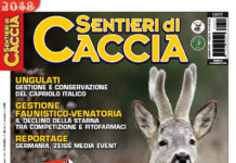 Sentieri di Caccia febbraio 2018 in edicola dal 28 gennaio Sentieri di Caccia febbraio 2018