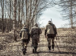 Incidenti a caccia: è responsabilità oggettiva? incidenti a caccia