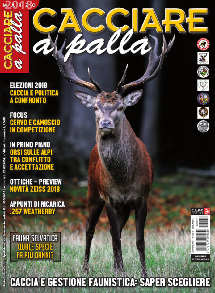 Cacciare a Palla marzo 2018 Cacciare a Palla marzo 2018