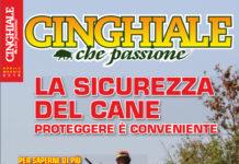 Cinghiale che Passione aprile-maggio 2018 in edicola dal 30 marzo Cinghiale che Passione aprile-maggio 2018