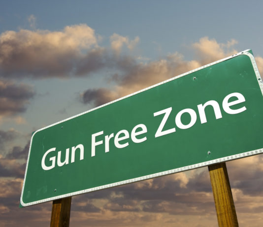 Gli Stati Uniti e le gun free zone: qualcosa sta cambiando? gun free zone