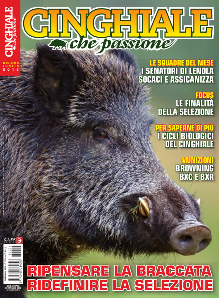 Cinghiale che Passione giugno-luglio 2018 Cinghiale che Passione giugno-luglio 2018