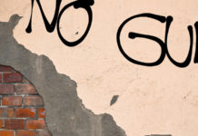 Un altro capitolo della discussione sulle armi