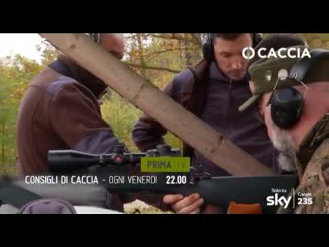 Zanon, Taveggia e Kinsky dal Borgo a spiegare la caccia in tv caccia in tv sky caccia 235 giugno zanon taveggia