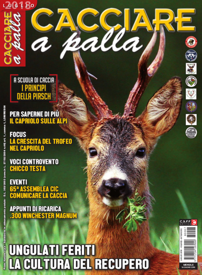 Cacciare a Palla luglio 2018 Cacciare a Palla luglio 2018