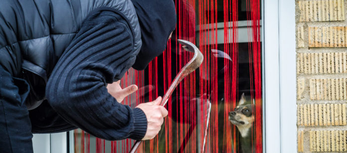 Legittima difesa per furto di cani furto di animali: rapinatore con passamontagna e piede di porco cerca di rubare cane dietro finestra