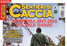 Sentieri di Caccia settembre 2018 in edicola dal 28 agosto Sentieri di Caccia settembre 2018