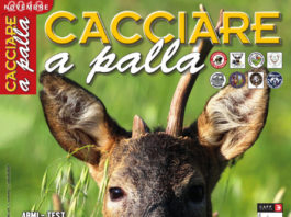 Cacciare a Palla novembre 2018 in edicola dal 17 ottobre Cacciare a Palla novembre 2018